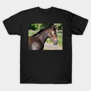 TB COLT T-Shirt